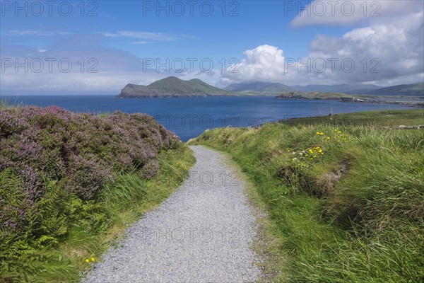 Landscape on Valentia Island