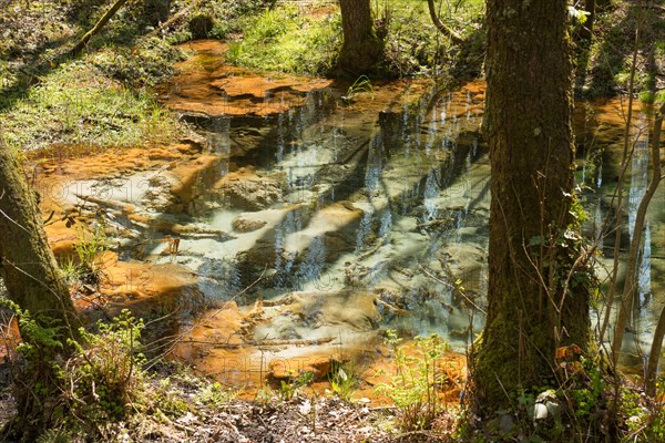 Spring and stream of the Schwindebach or Schwindebeck