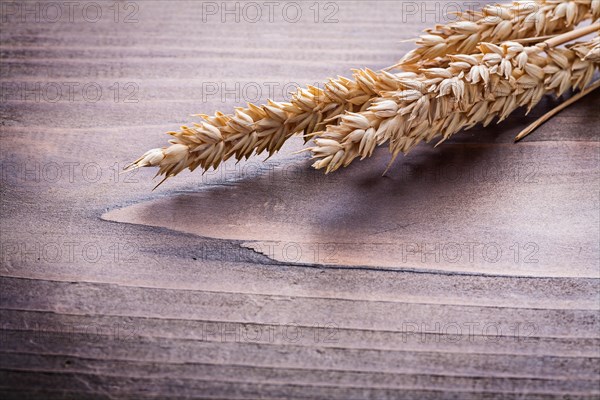 Ears of rye on vintage wooden board food and drink concept