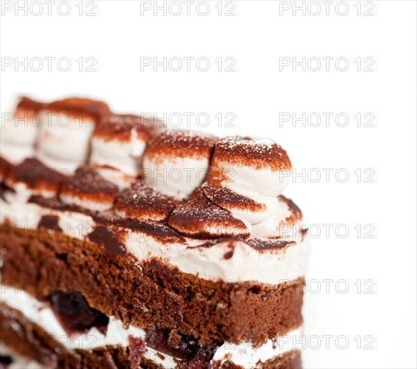 Fresh whipped cream dessert cake slice with cocoa powder on top