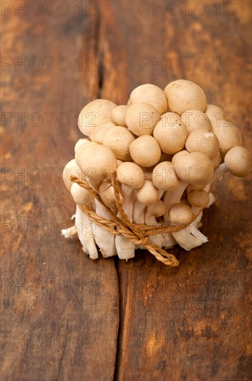 Bunch of fresh wild mushrooms on a rustic wood table tied with a rope