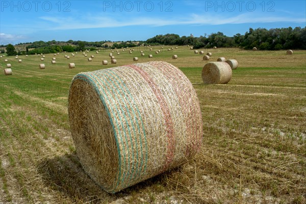 Stacks of straw