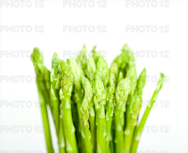 Fresh asparagus from the garden over white background