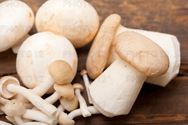 Bunch of fresh wild mushrooms on a rustic wood table