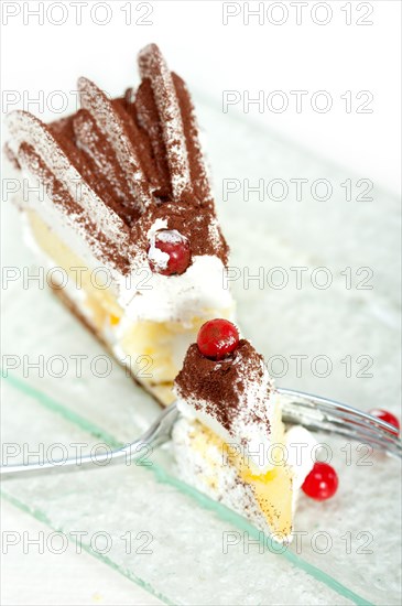 Fresh ribes and whipped cream dessert cake slice with cocoa powder on top