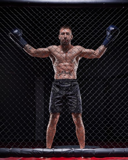 Dramatic image of a mixed martial arts fighter standing in an octagon cage. The concept of sports