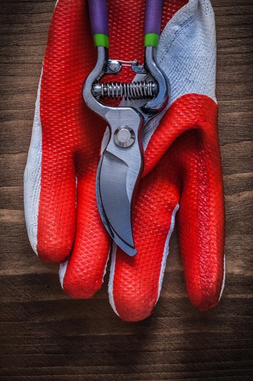 Gardening working glove and steel secateurs on wooden background