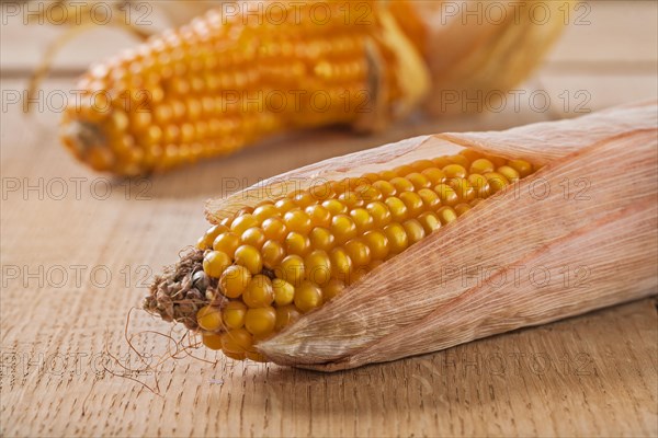 Ears of corn on wooden boards up close
