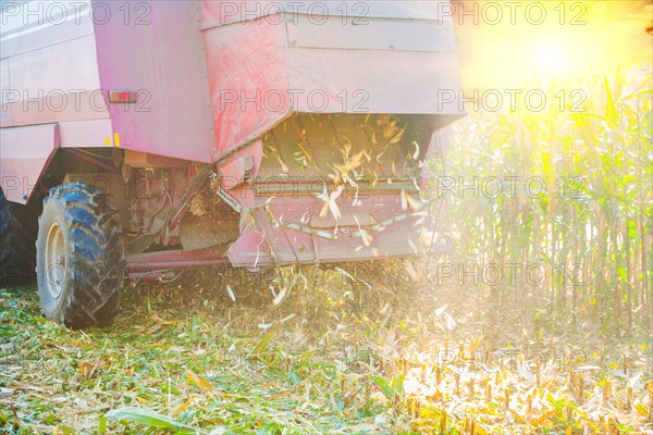 Close up view of combine harvester at the time of harvesting corn rear view agriculture concept