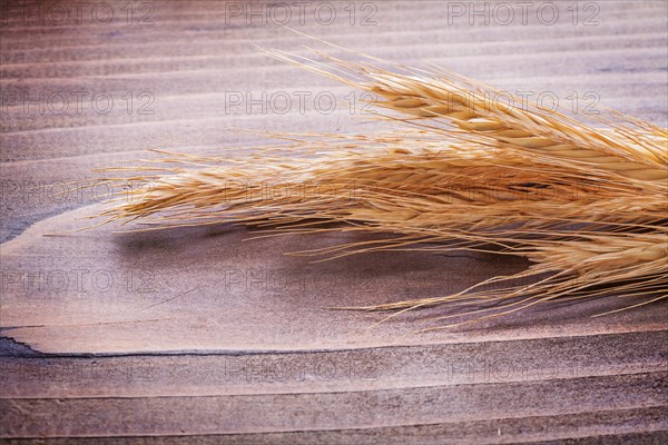 Ears of wheat on vintage wooden board food and drink concept