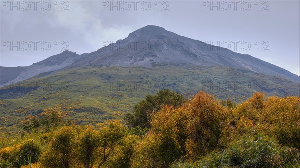 Green mountainside