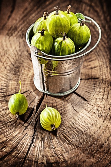 Gooseberries in metal bucket on vintage wooden board