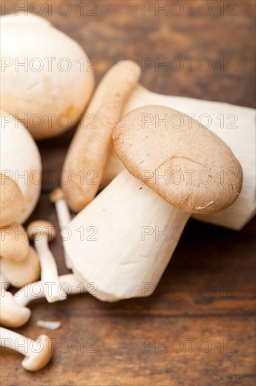 Bunch of fresh wild mushrooms on a rustic wood table