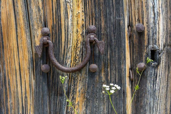 Old wooden door with aged metal door handle. Architectural textured background