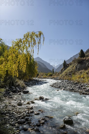 Mountain stream Ala Archa flows through the Ala Archa valley