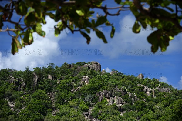 Hill with granite rocks