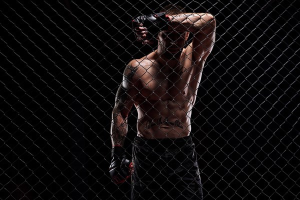 Dramatic image of a mixed martial arts fighter standing in an octagon cage. The concept of sports