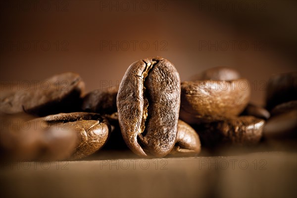 Coffee beans on a dark background
