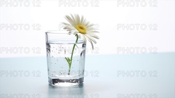 A single daisy in a clear glass of water against a light blue backdrop conveys a sense of freshness and simplicity Ai generated