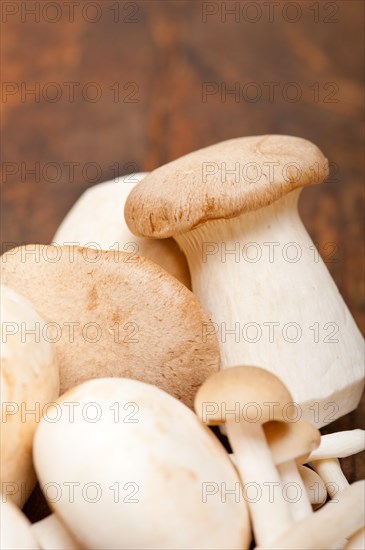 Bunch of fresh wild mushrooms on a rustic wood table