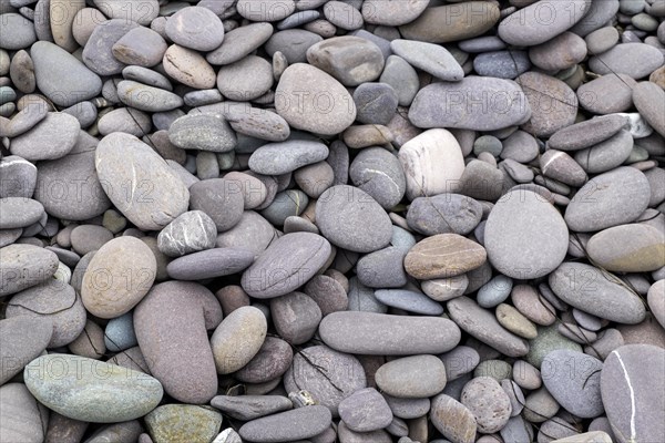 Various flat stones rounded by the sea