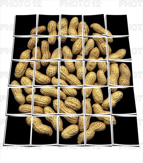 Peanuts on black background collage composition of multiple images over white