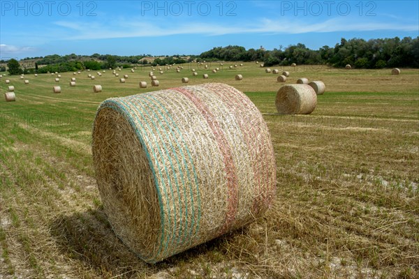 Stacks of straw