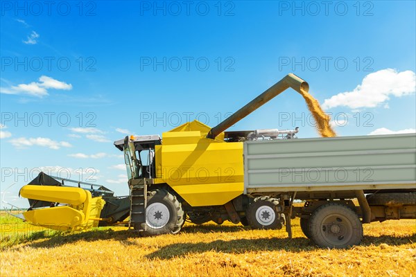 A combine harvester at work