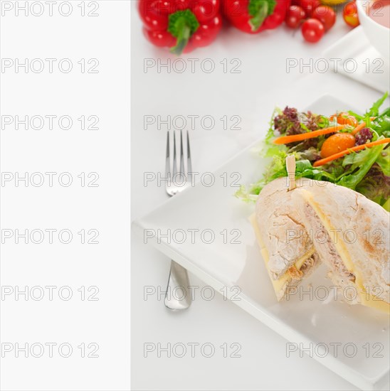 Tuna fish and cheese sandwich with fresh mixed salad