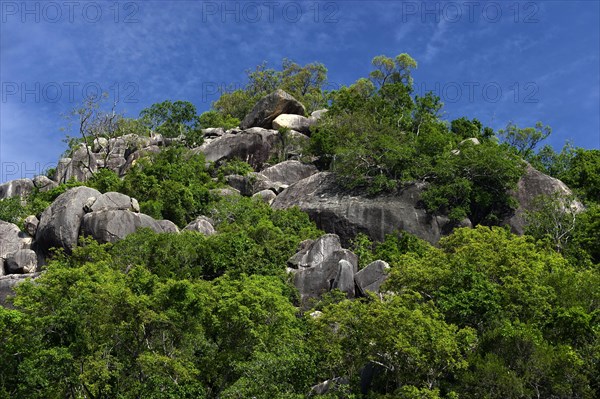 Hill with granite rocks