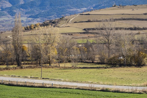 Agricultural landscape in autumn in the Cerdanya area in the province of Gerona in Catalonia in Spain