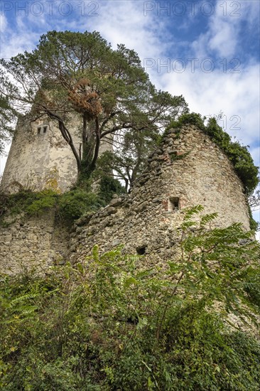 The ruins of Altbodman Castle on the Bodanrueck