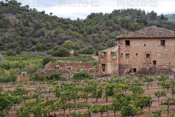 Experience stunning vineyard landscapes in the Priorat wine region