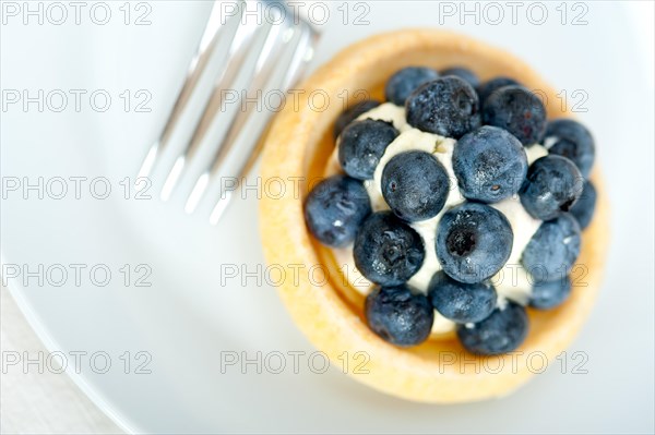 Fresh blueberry cream cupcake homemade closeup macro