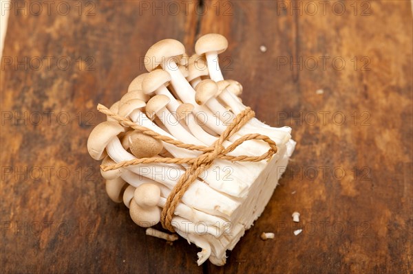 Bunch of fresh wild mushrooms on a rustic wood table tied with a rope