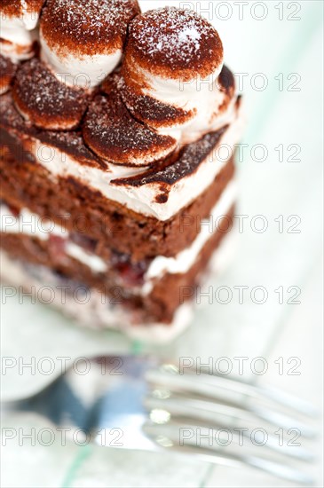 Fresh whipped cream dessert cake slice with cocoa powder on top