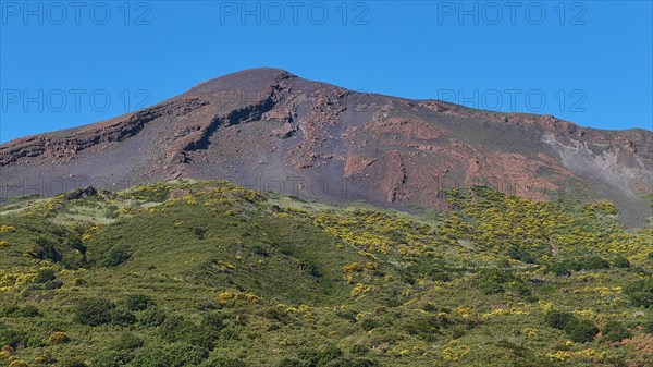 Green-yellow overgrown mountainside