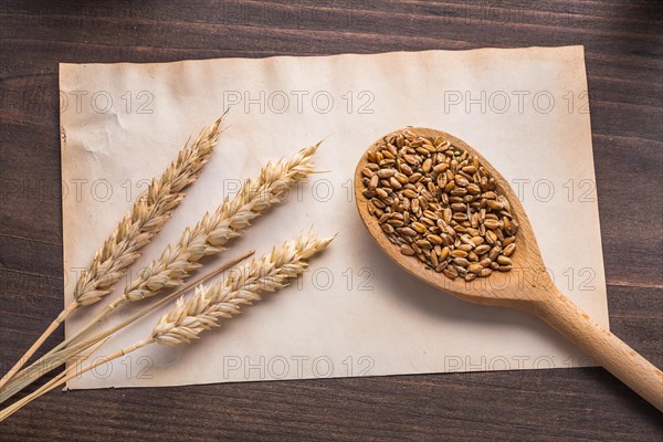 Ears of wheat and wooden spoon wtih grains on vintage paper and board food and drink concept