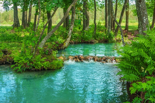 At the source of the forest river