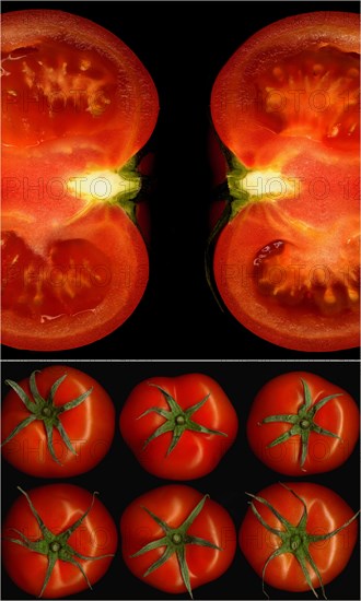 Tomatoes collage composition nested on a black square frame