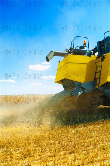 View of wheat milling during the harvest