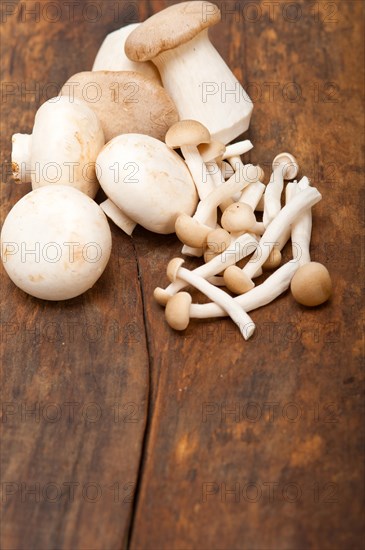 Bunch of fresh wild mushrooms on a rustic wood table