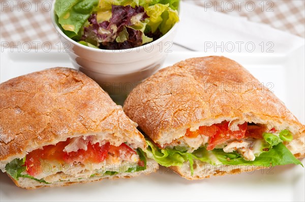 Italian ciabatta panini sandwich with chicken and tomato