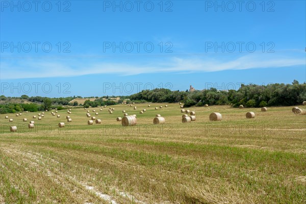 Stacks of straw