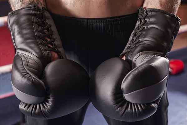 Image of boxing gloves. The concept of mixed martial arts. MMA