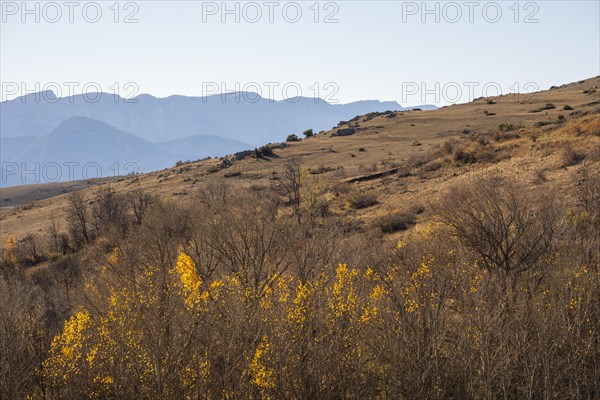 Agricultural landscape in autumn in the Cerdanya area in the province of Gerona in Catalonia in Spain