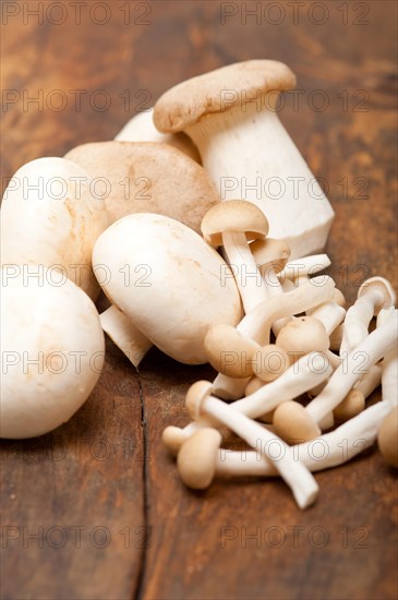 Bunch of fresh wild mushrooms on a rustic wood table