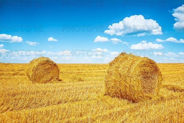 Straw bales on a harvested field in summer