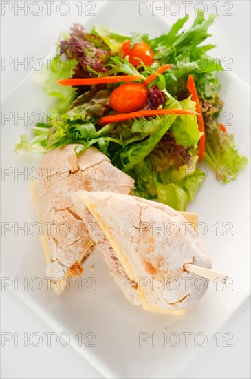 Tuna fish and cheese sandwich with fresh mixed salad