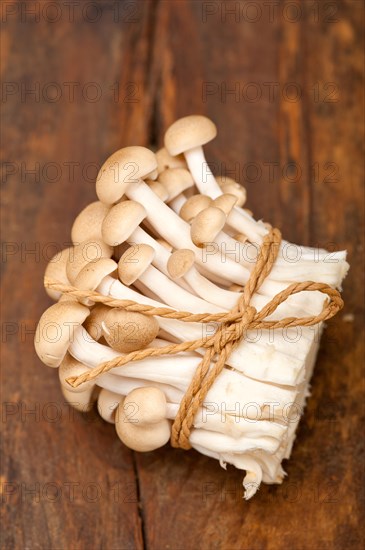 Bunch of fresh wild mushrooms on a rustic wood table tied with a rope